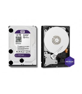 HD 1 TB Western Digital Purple