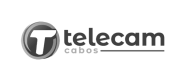 Logo Telecam